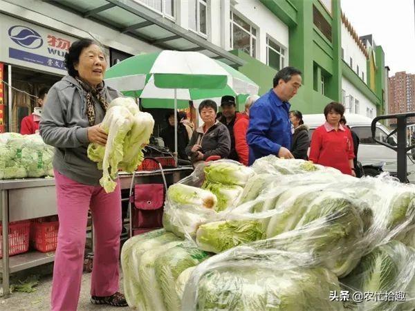 储备首选？价格比去年贵一倍，热度却不降反升，很多人大量购买