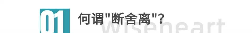 “断舍离”从来不只是整理，更是人生智慧的践行