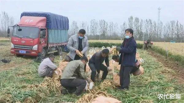 多地遭遇滞销，数百万斤没人收购，农民很着急：霜冻就玩完了