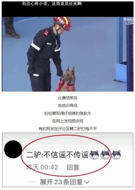 一夜之间，搜救犬二驴火遍全网！