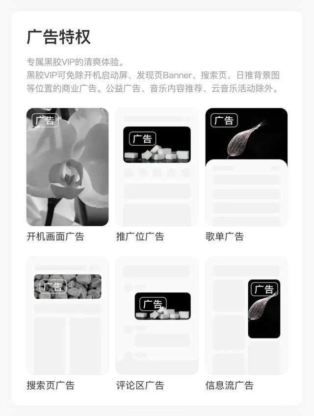 三款主流听歌APP对比 Apple Music体验最纯粹