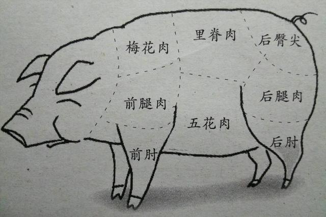 买猪肉：里脊肉、梅花肉、猪腿肉、五花肉，哪块猪肉更值得买？