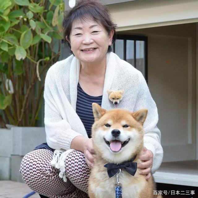 日本老奶奶的精彩晚年生活：与柴犬为伴，一人一犬，相伴晚年