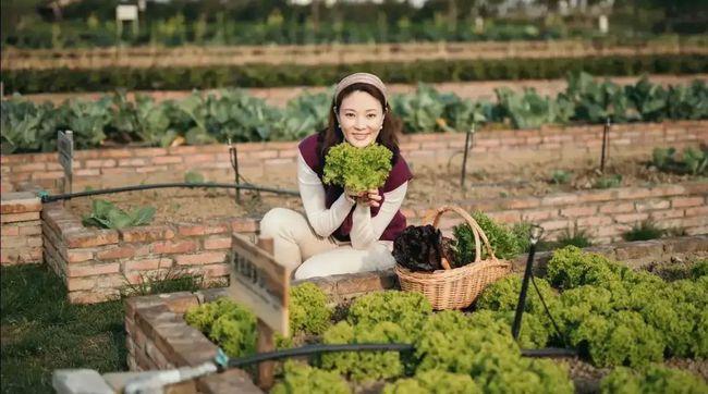 央视美女主持人刘芳菲，一身白色穿着端庄温婉，久未露面美丽依旧