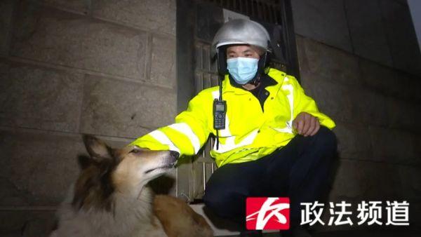 牧羊犬闯入万家丽高架桥，交警喊话犬主人：快来把它领回家