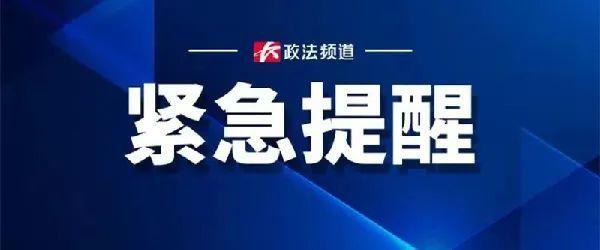 牧羊犬闯入万家丽高架桥，交警喊话犬主人：快来把它领回家