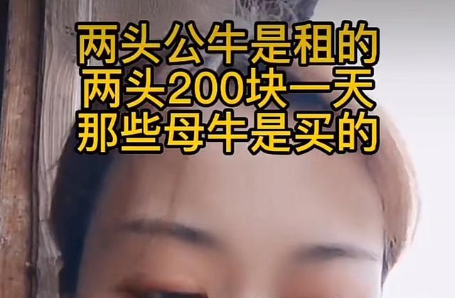 牛爱芳翻车后续！被曝拍视频花2万块买柴，为立人设连爸爸都靠租