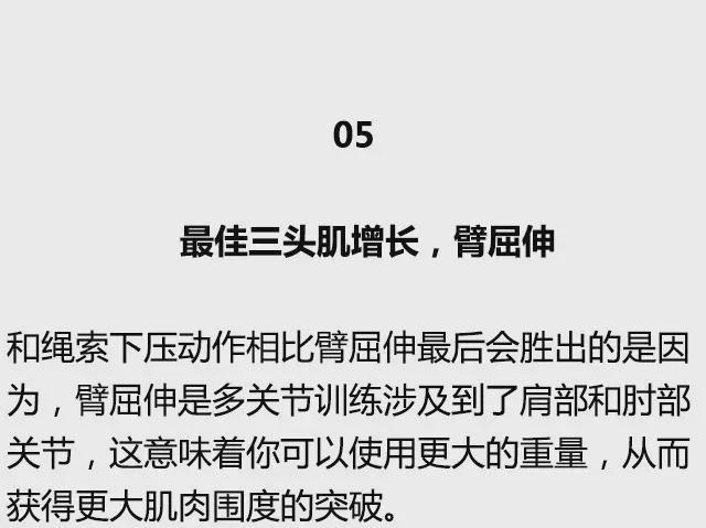 全身各部位肌肉最佳训练动作，值得你浪费时间练