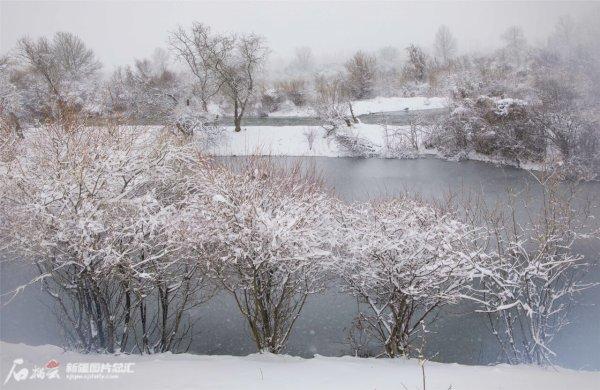 巩乃斯冬景：雪落大地，空灵曼妙