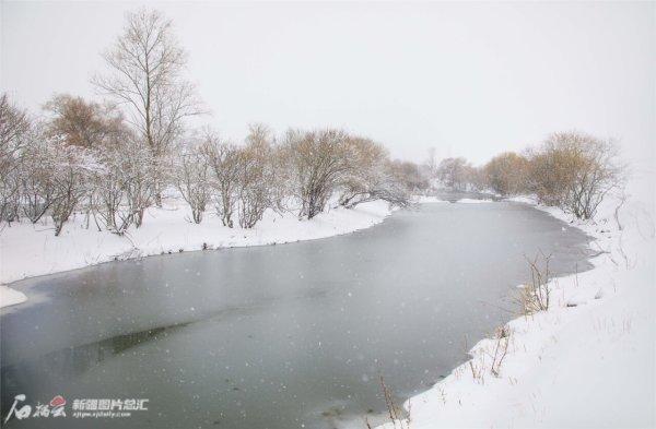 巩乃斯冬景：雪落大地，空灵曼妙