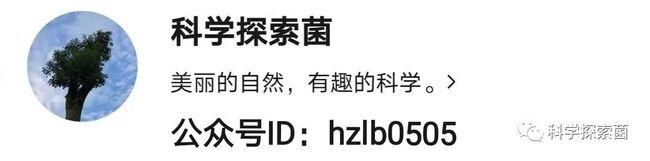 太阳表面温度5500摄氏度，钢铁都能融化，真能用温度计测吗？