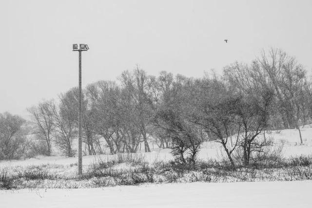 美图‖北方冬季——暴风雪后的奈曼北线