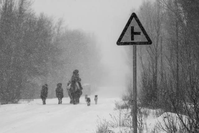 美图‖北方冬季——暴风雪后的奈曼北线