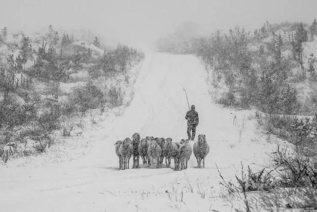 美图‖北方冬季——暴风雪后的奈曼北线