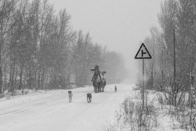 美图‖北方冬季——暴风雪后的奈曼北线