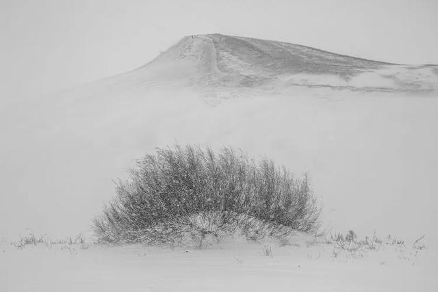 美图‖北方冬季——暴风雪后的奈曼北线