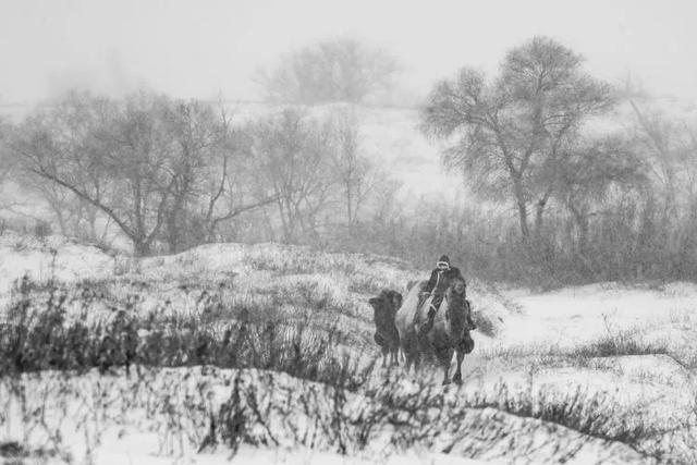 美图‖北方冬季——暴风雪后的奈曼北线