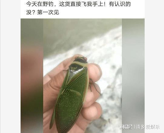 “就是一卖烟的，为什么弄这么大栋楼，能住满人吗？”