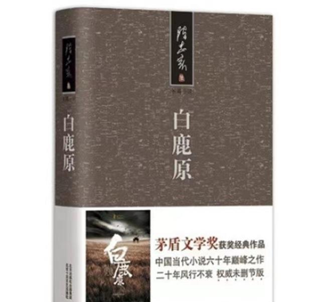 拍《白鹿原》时，张嘉译罕见发脾气，对女演员大喊滚蛋并要求换人