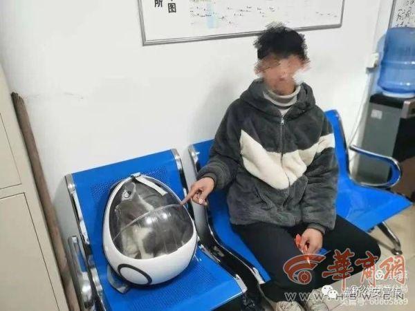 西安男子顺走宠物猫挂网上出售 发现失主报警便假意发帖寻主