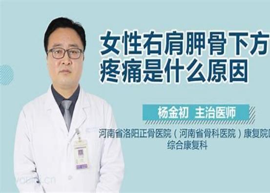 后背、肩胛骨区域疼痛是怎么回事？该如何应对？告诉您