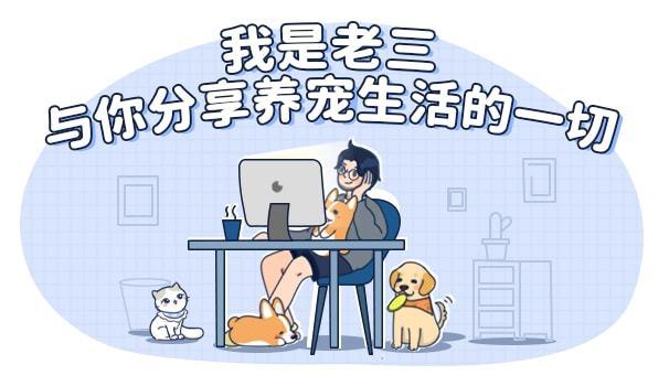 南方猫VS北方猫，差距有半个中国那么大