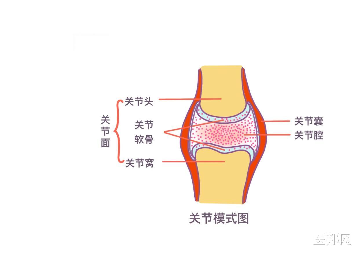 天气变冷，关节炎频繁发作怎么办？骨关节炎的10大误区你知道吗？