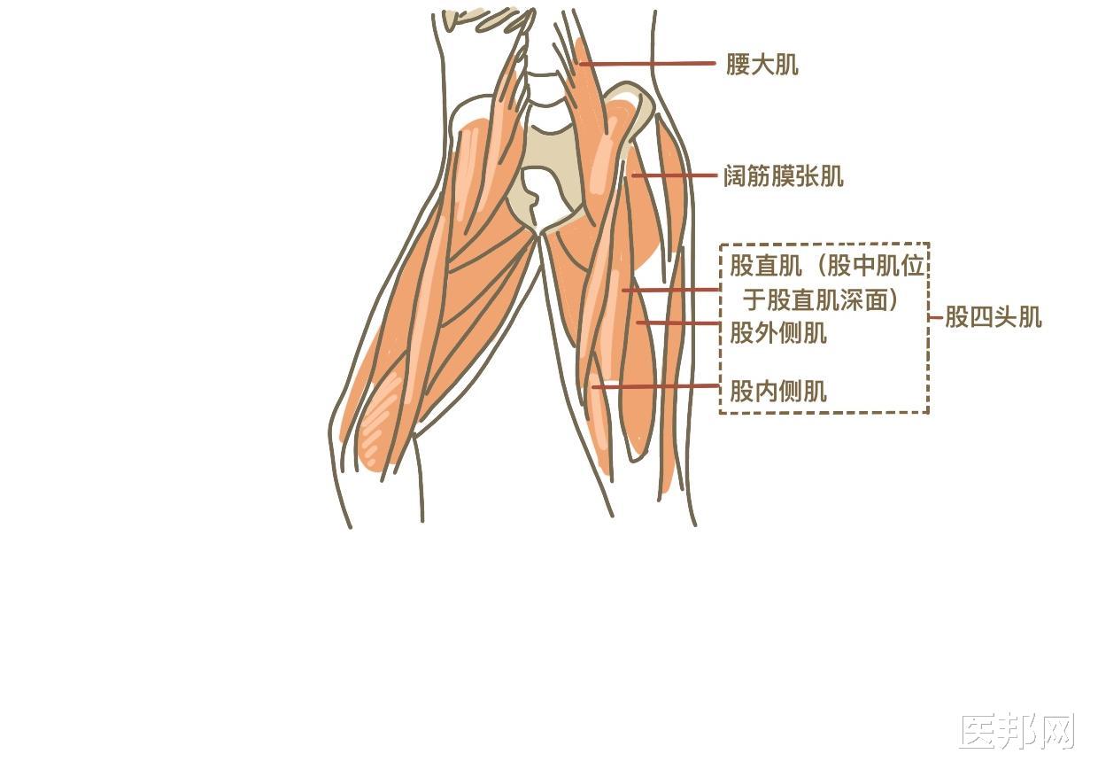 天气变冷，关节炎频繁发作怎么办？骨关节炎的10大误区你知道吗？