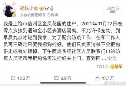 官方通报“隔离宠物狗遭扑杀”，记者对话当事人：事发后受到不小的压力