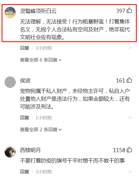 未与狗主充分沟通，隔离期间宠物狗被扑杀，工作人员已调岗并道歉