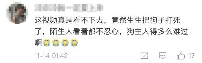 半岛叨叨 主人被隔离，宠物被扑杀？集中隔离可以带宠物，这是应有的文明