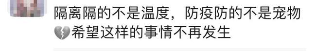 半岛叨叨 主人被隔离，宠物被扑杀？集中隔离可以带宠物，这是应有的文明