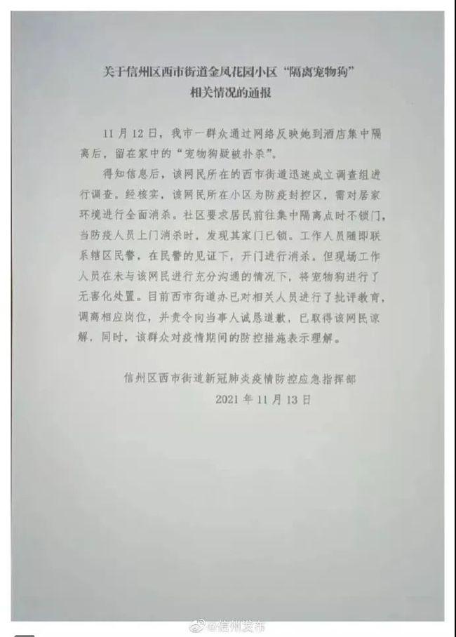 半岛叨叨 主人被隔离，宠物被扑杀？集中隔离可以带宠物，这是应有的文明