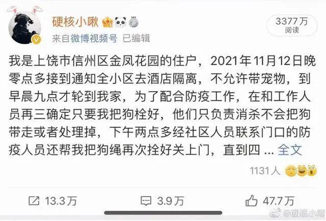 半岛叨叨 主人被隔离，宠物被扑杀？集中隔离可以带宠物，这是应有的文明