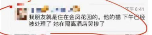 半岛叨叨 主人被隔离，宠物被扑杀？集中隔离可以带宠物，这是应有的文明