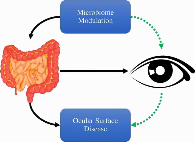 保护眼睛也应该了解的一些共生微生物和营养知识