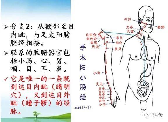 天冷，肩疼可以这样做！