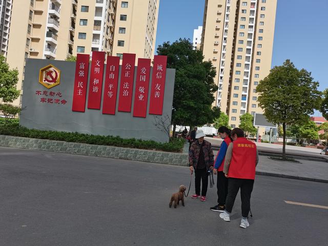 创建全国文明城市 市民记者团在行动｜倡导文明养犬 共建文明城市