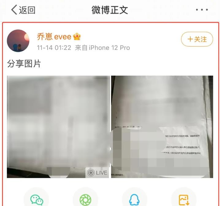 乔妹小小酷哥连线对峙，300万“投资协议”曝光，借的钱一分没还