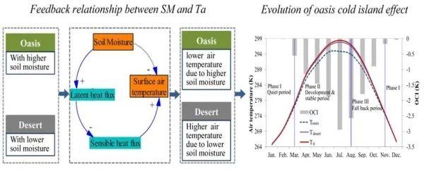 绿洲冷岛效应形成机制研究获进展