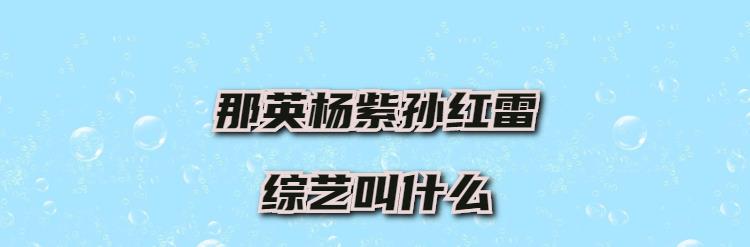 那英杨紫孙红雷综艺叫什么