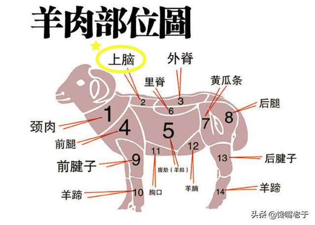 买羊肉，有人就挑这4个部位，羊肉摊老板：这回遇到行家了