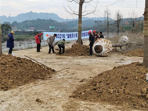 “湖南河小青 建功新征程”绿化种植打造优美生态新河道