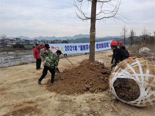 “湖南河小青 建功新征程”绿化种植打造优美生态新河道