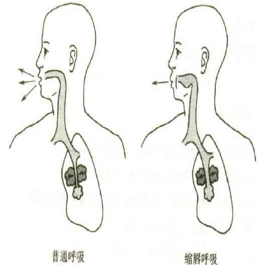 @咸宁人，快来了解这些不能不知的“肺腑之言”