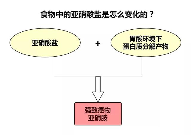 超8小时就是隔夜饭？能否食用主要看一个「标准」