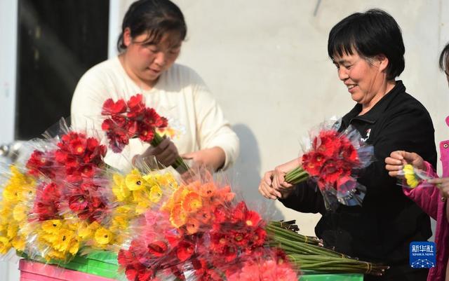 冬日大棚鲜花开