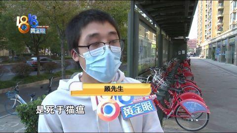 蓝猫没撑过一周，民警曾贴过提示