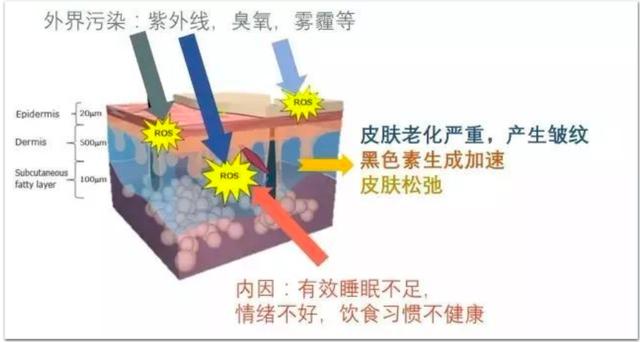 挨饿运动勤护肤，颜值却暴跌？用科学开挂，变美不受苦还「轻松有效」