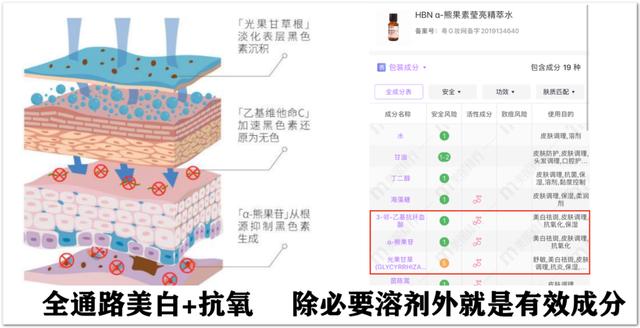 挨饿运动勤护肤，颜值却暴跌？用科学开挂，变美不受苦还「轻松有效」